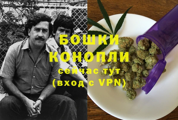 Альфа ПВП Алексин